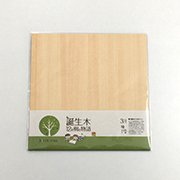 3月 ヒノキの折り樹