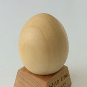 11月 イチョウの木のたまご