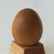 8月 ケヤキの木のたまご