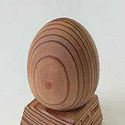 5月 スギの木のたまご