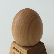 4月 ヤマザクラの木のたまご