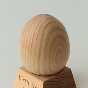 3月 ヒノキの木のたまご