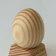 1月 マツの木のたまご