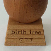 8月 ケヤキの木のたまごスタンド