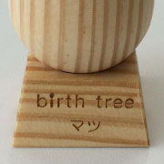 1月 マツの木のたまごスタンド