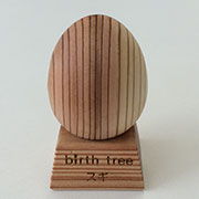 5月 スギの木のたまご + スタンドセット