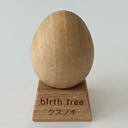 6月 クスノキの木のたまご + スタンドセット