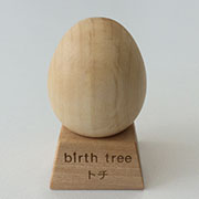 7月 トチの木のたまご + スタンドセット