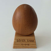 8月 ケヤキの木のたまご + スタンドセット