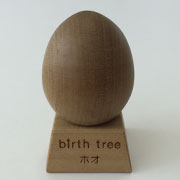 9月 ホオの木のたまご+スタンドセット