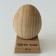 10月 クリの木のたまご + スタンドセット