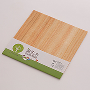 6月 クスノキの折り樹