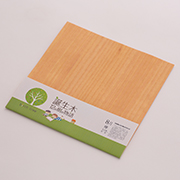 8月 ケヤキの折り樹