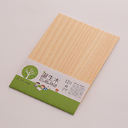 12月 モミのポストカード