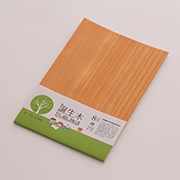 8月 ケヤキのポストカード